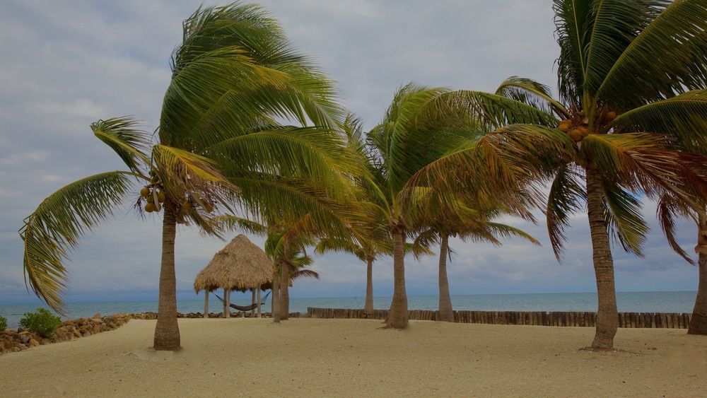 Hotel Royal Belize Thatch Caye Exterior foto